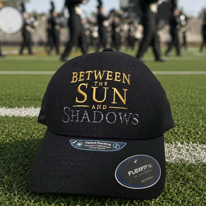 An angled view of the black baseball cap, showing the gold and silver embroidery and the side panels.